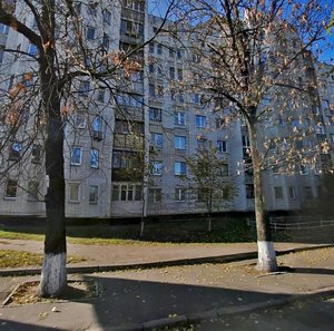 Mezhihirska Street, 43, Kyiv: photo