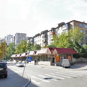 Profesora Pidvysotskoho Street, 8А, Kyiv: photo