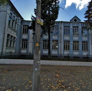 Yuriia Illienka Street, 81, Kyiv: photo