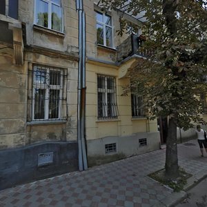 Vulytsia Ustyma Karmaliuka, 7, Lviv: photo