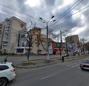 Yaroslava Ivashkevycha Street, 6/8А, Kyiv: photo