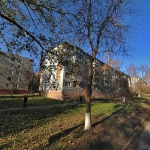 Kalinina Street, 81, Tula: photo