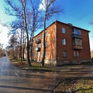 Volkova Street, 17, Tula: photo