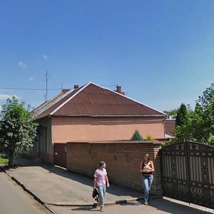 Kapushanska vulytsia, 59, Uzhhorod: photo