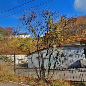 Nyzhnoiurkivska Street, 12, Kyiv: photo