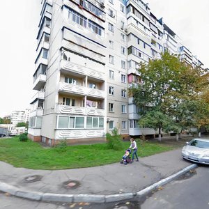 Burmystenka Street, 10, Kyiv: photo