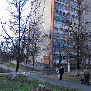 Тула, Улица Волкова, 1к1: фото