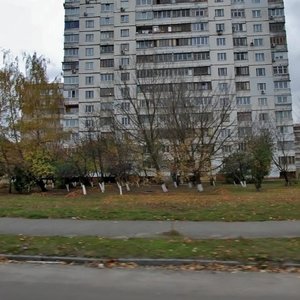 Heroiv Kosmosu Street, 11, Kyiv: photo