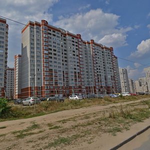 Vladimira Nevskogo Street, 38Е, Voronezh: photo