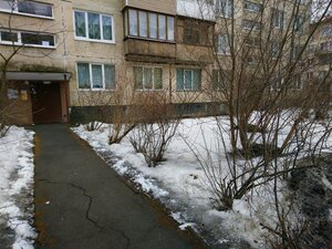 Bukharestskaya Street, 86к2, Saint Petersburg: photo