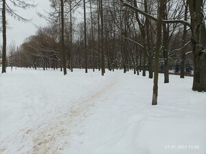 KIMa Avenue, 1, Saint Petersburg: photo