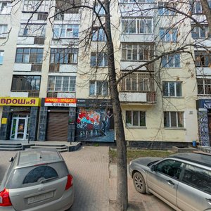 Mamina-Sibiryaka Street, 102, Yekaterinburg: photo