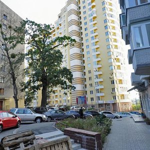 Киев, Улица Степана Руданского, 3А: фото