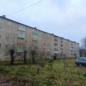 50 Let Oktyabrya Street, 24, Kolchugino: photo