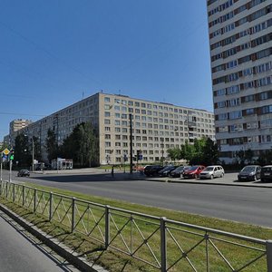 Khudozhnikov Avenue, 27к1, Saint Petersburg: photo