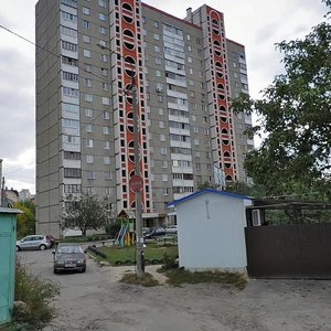 Akademika Yefremova Street, 4, Kyiv: photo