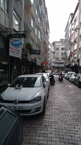 Стамбул, Улица Гедиз, 25A: фото