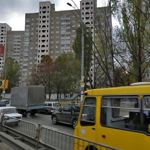 Vadyma Hetmana Street, No:44, Kiev: Fotoğraflar