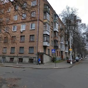 Metalistiv Street, 9, Kyiv: photo