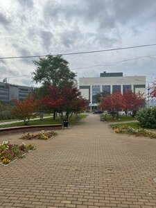 Южно‑Сахалинск, Проспект Мира, 83А: фото