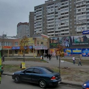 Anny Akhmatovoi Street, 16А, Kyiv: photo