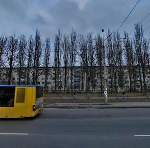 Ivana Vyhovskoho Street, 12, Kyiv: photo