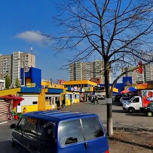 Teodora Draizera Street, 8, Kyiv: photo