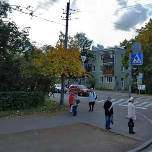 Пушкин, Оранжерейная улица, 56: фото