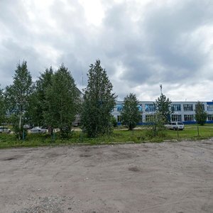 Dachnaya Street, 48, Arkhangelsk: photo