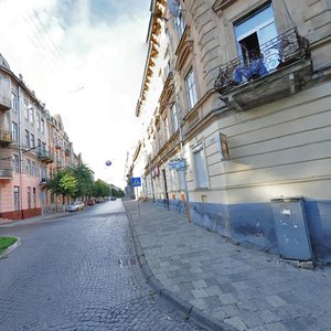 Vulytsia Siechenova, 10, Lviv: photo