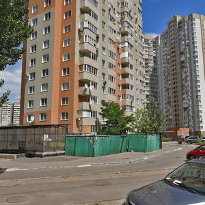 Mykoly Lavrukhina Street, 10, Kyiv: photo