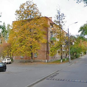 Borysa Zhytkova Street, 7, Kyiv: photo
