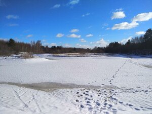 Shkolnaya ulitsa, 32В, Tver Oblast: photo