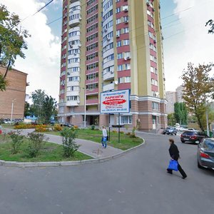 Viktora Zabily Street, 5, Kyiv: photo