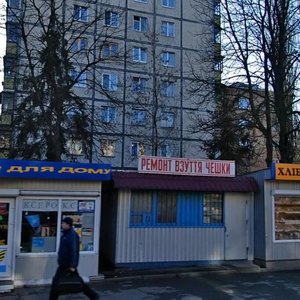 Dorohozhytska Street, 15, Kyiv: photo