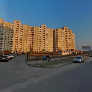 Larysy Rudenko Street, 21А, Kyiv: photo