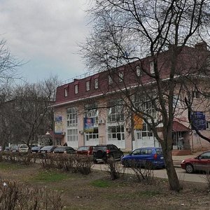 Parkovaya ulitsa, 12А, Shelkovo: photo