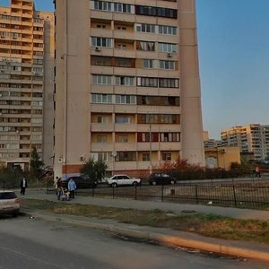 Larysy Rudenko Street, 21, : foto