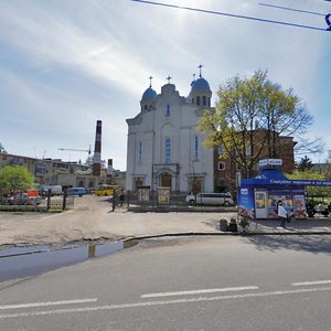 Horodotska vulytsia, 319А, Lviv: photo