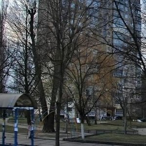 Heorhiia Honhadze Avenue, 11А, Kyiv: photo