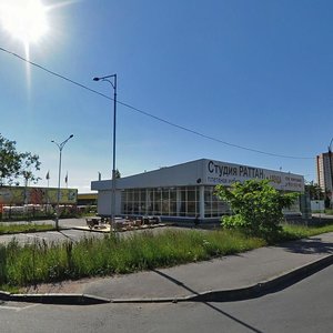 Сестрорецк, Приморское шоссе, 264А: фото