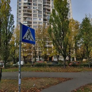 Ihoria Shamo Boulevard, 15, Kyiv: photo