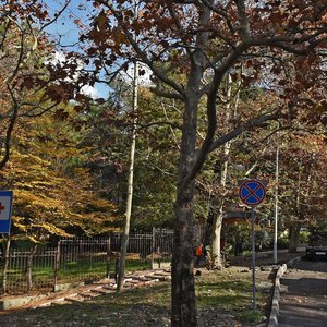 Dagomysskaya Street, 46/1, Sochi: photo