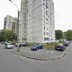 Oleksandra Pyrohovskoho Street, 19к1, Kyiv: photo