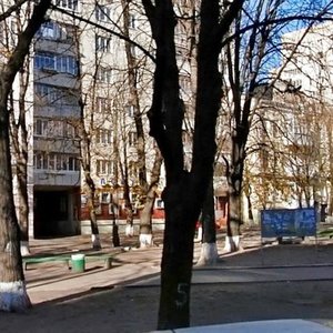 Hryhoriia Tsaryka Street, 5, Kyiv: photo