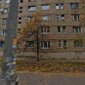 Oleksy Tykhoho Street, 12, Kyiv: photo