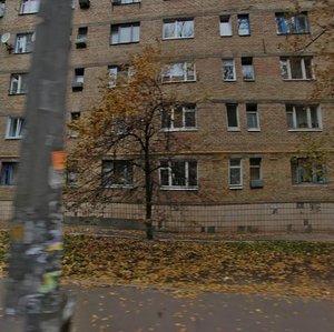 Oleksy Tykhoho Street, 12, Kyiv: photo