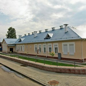 Pryvakzalnaja vulica, 20, Mogilev: photo