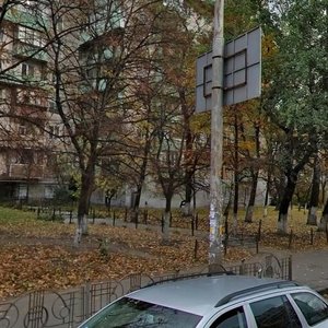 Valeriia Lobanovskoho Avenue, 33, Kyiv: photo