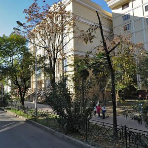 Vorovskogo Street, 3 ، : صورة